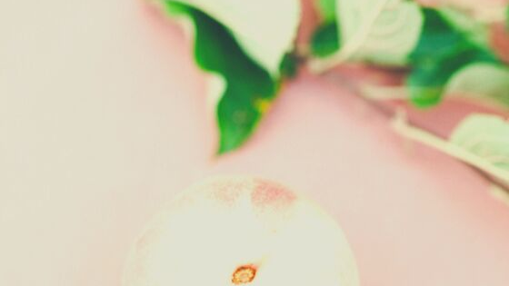 Emotional Decluttering, Part 1