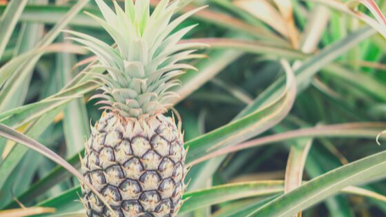 Emotional Decluttering, Part 2