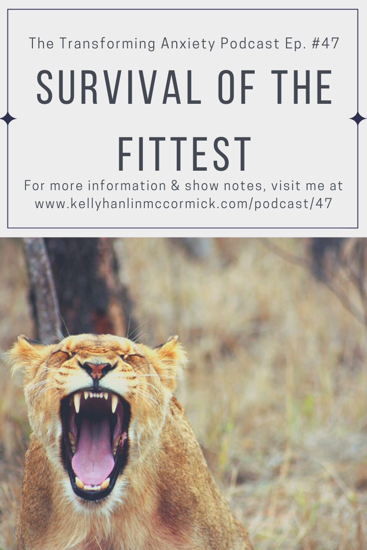 Survival of the Fittest — Kelly Hanlin McCormick