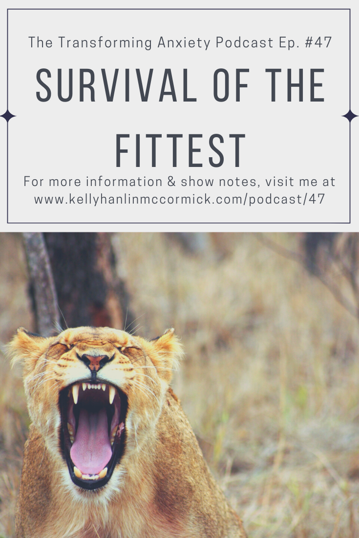 Survival of the Fittest 