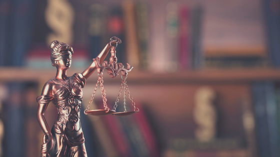 Judgment
