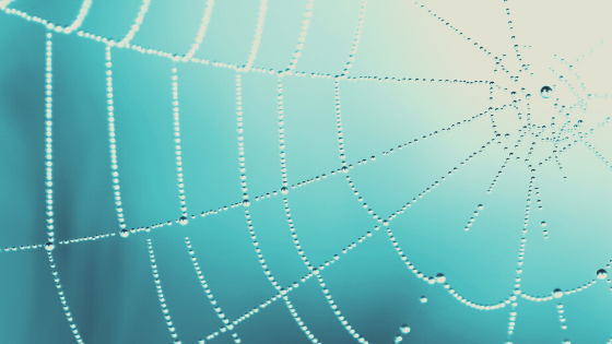 Thought Webs
