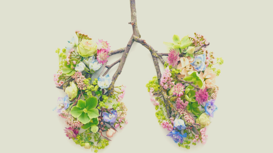 A Moment with the Breath