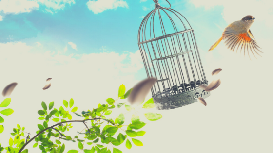 Motivations &amp; Traps