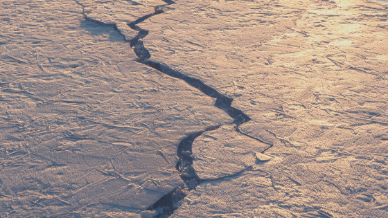 I Want OUT of Anxiety