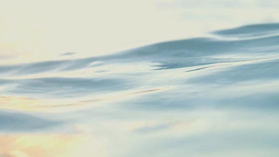 Finding Calm