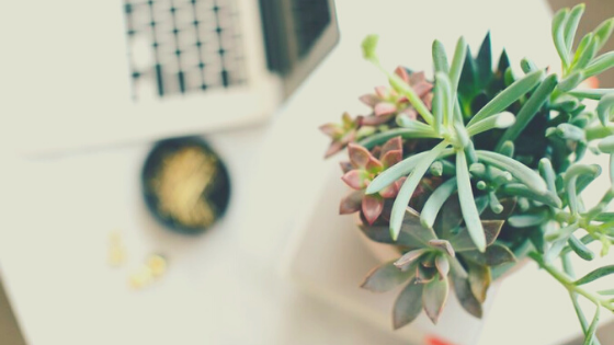 Intentions & Goals in the New Year