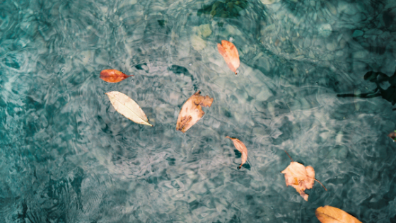 Anxiety Is Not Personal