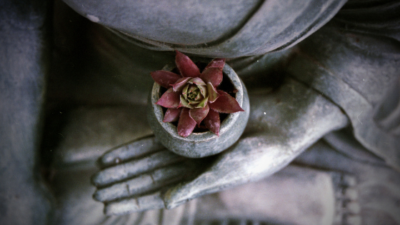 Mindful Monday Series: Presence