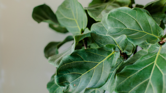 Right Now, It's Like This