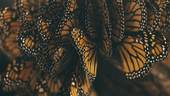 Why Change is So Hard