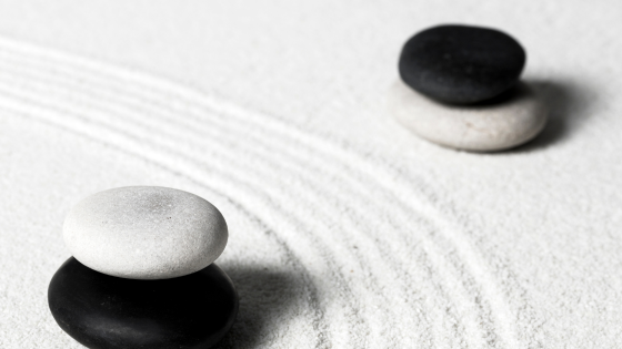 2 Contradictory Approaches