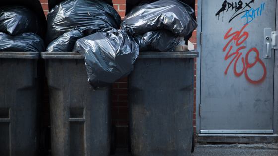 Taking Out the Trash