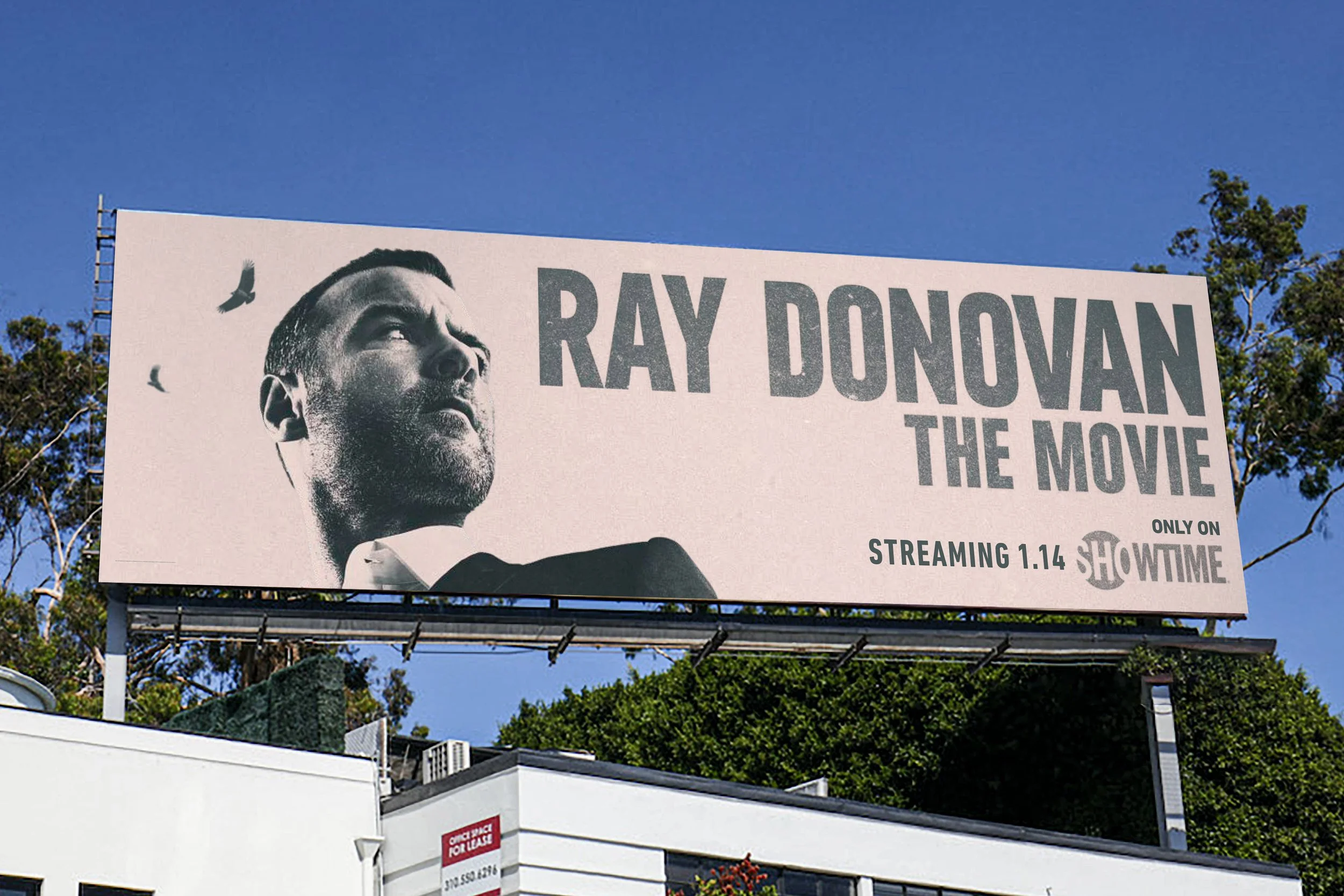 RDTM billboard 1.jpg