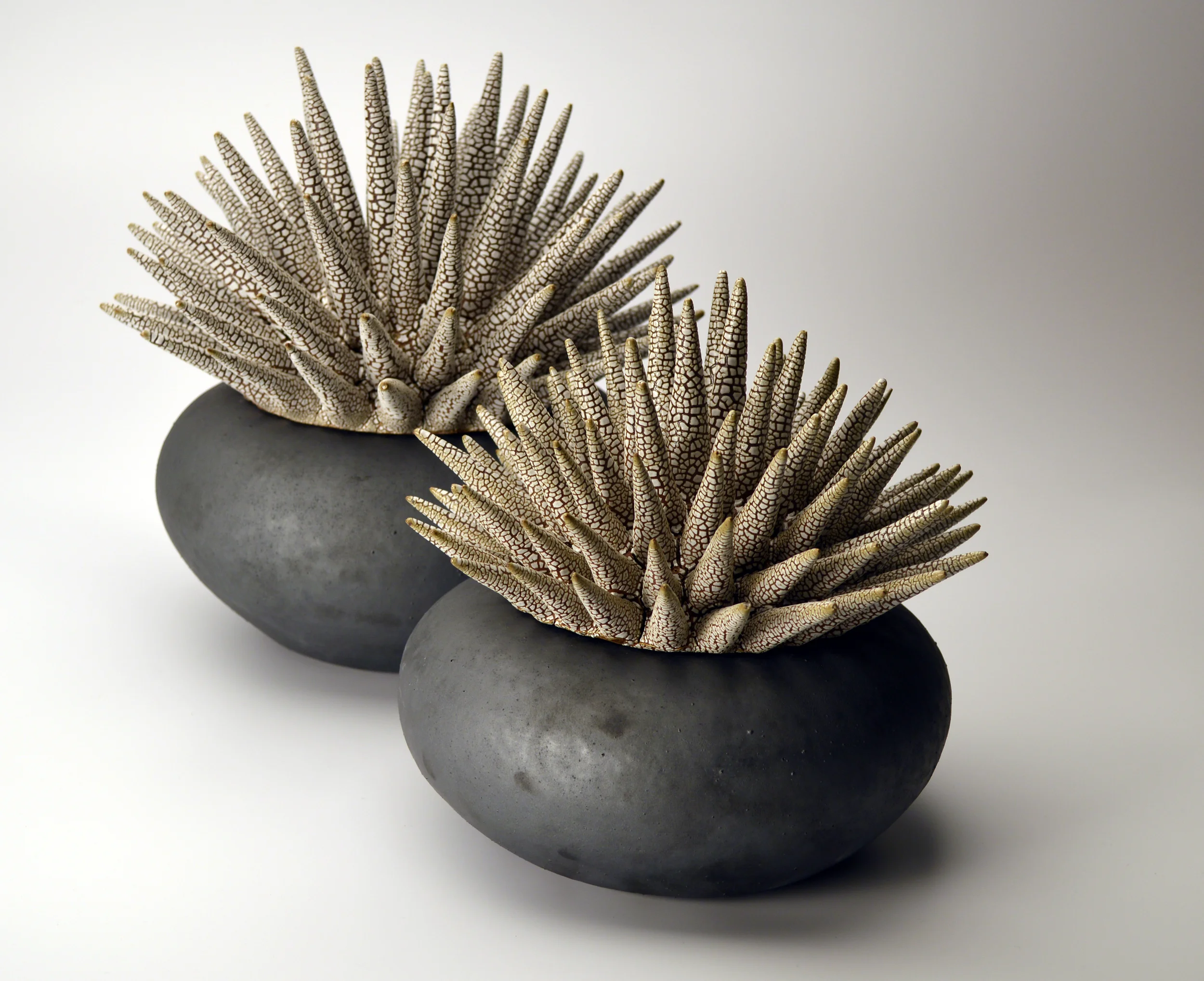 Aversion Therapy Cheese Dishes