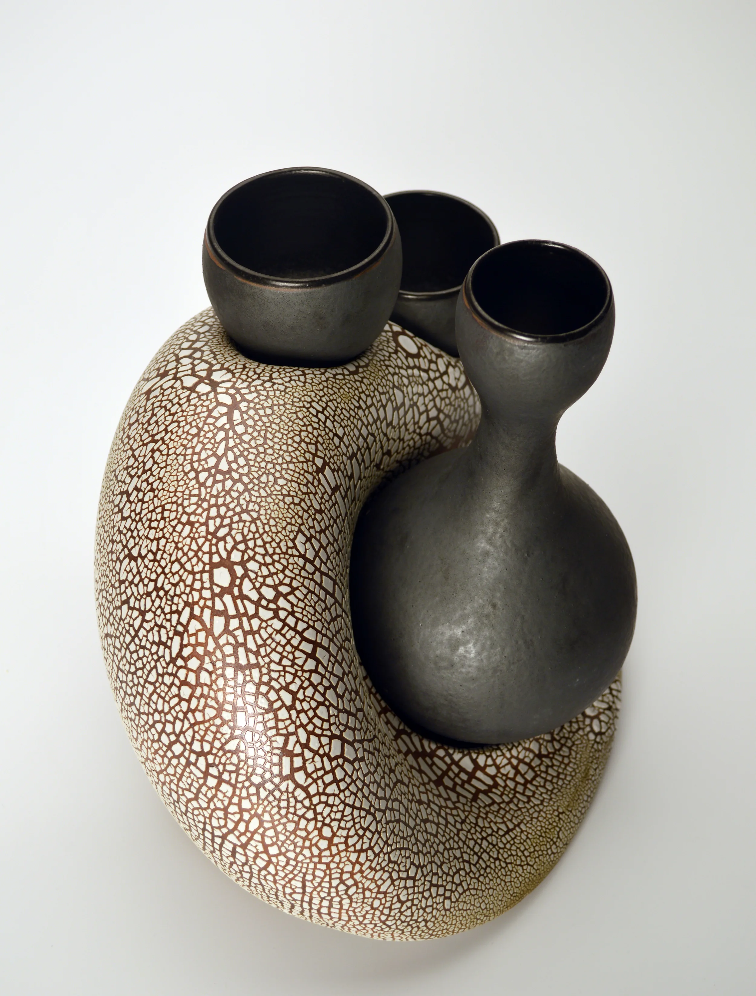 Backdrop Sake - angle