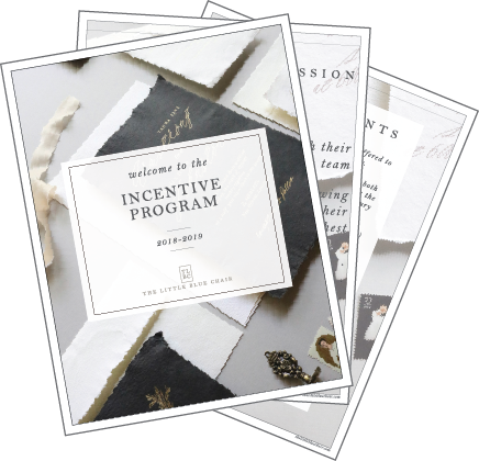 The Guide to the Incentive Program.png