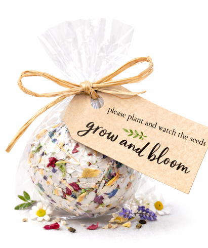 Let’s Celebrate Earth Day! Make Your Own seed Ball