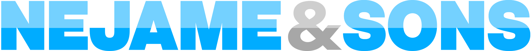 Nejame-and-Sons-logo_color.png