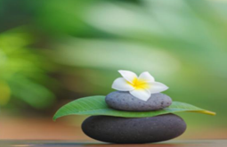 Mind-Body Medicine