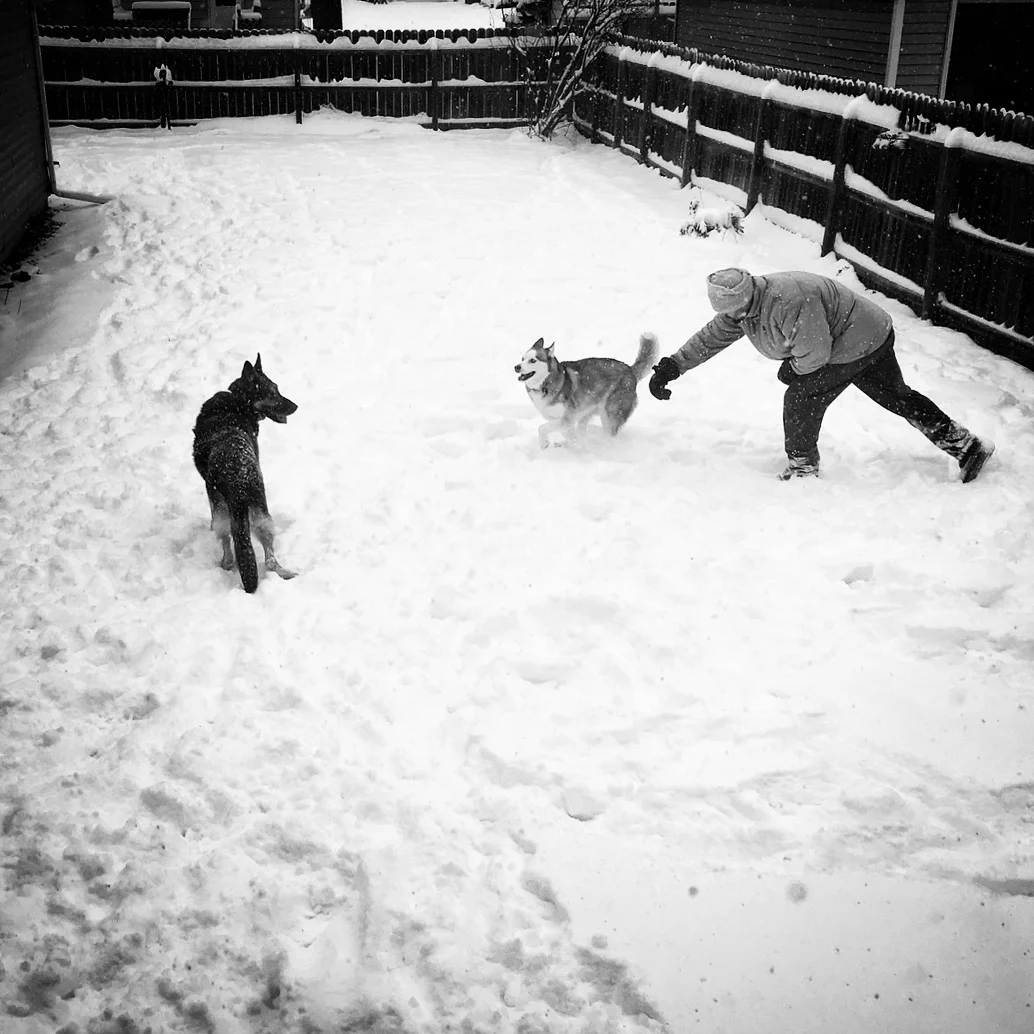 Logan, Rollo and Papa - Winter 2017