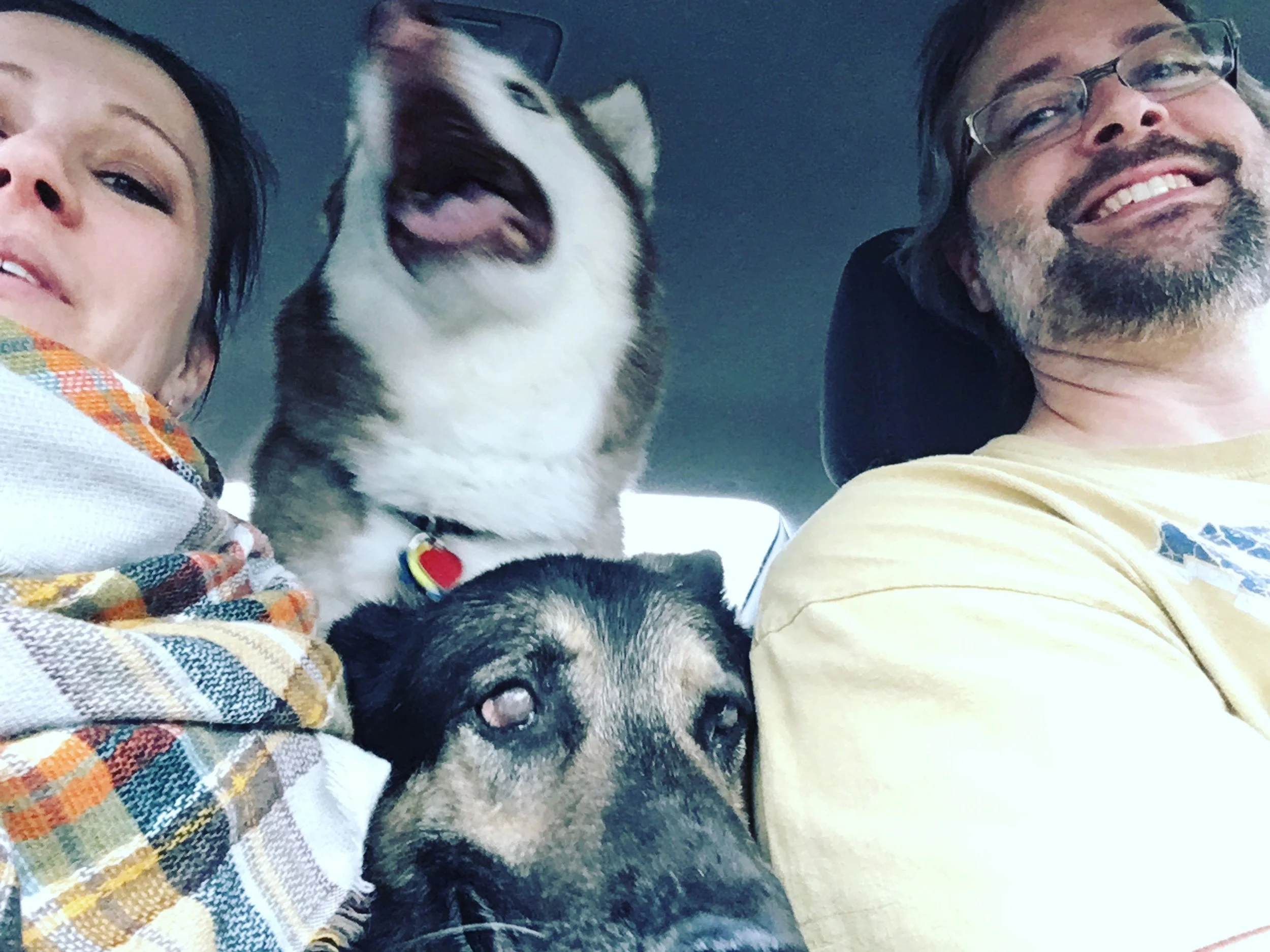 Our merry band of idiots on the way home from the Green Day show in April.