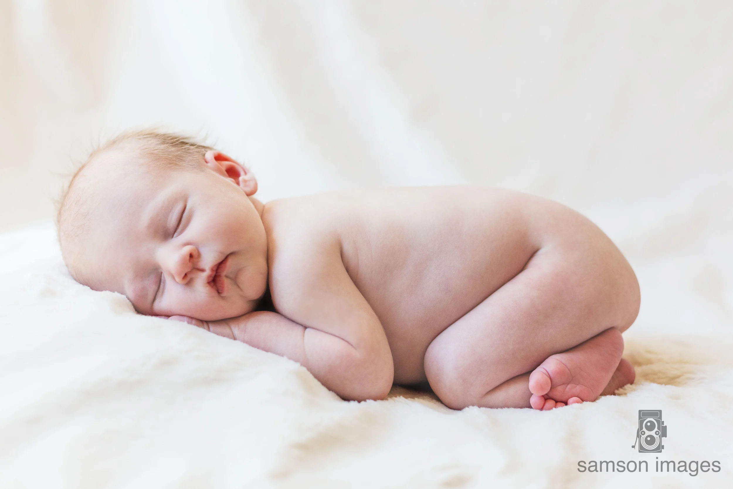 seattle studio newborn baby