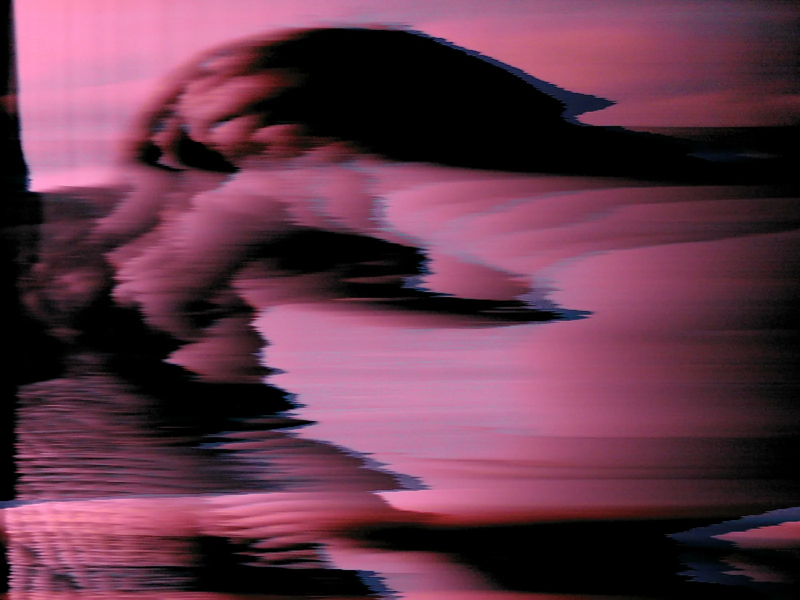 2005, ndd07_lucas.jpg