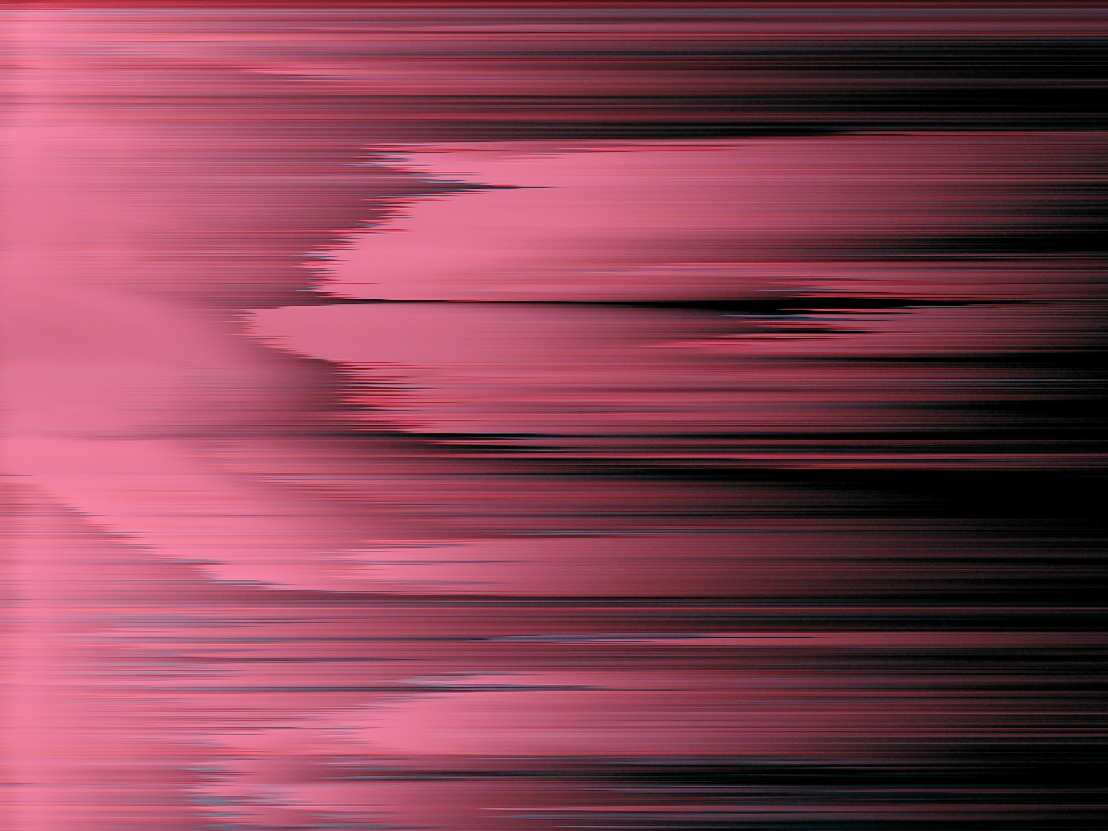 2006, ndd09_unidentified.JPG