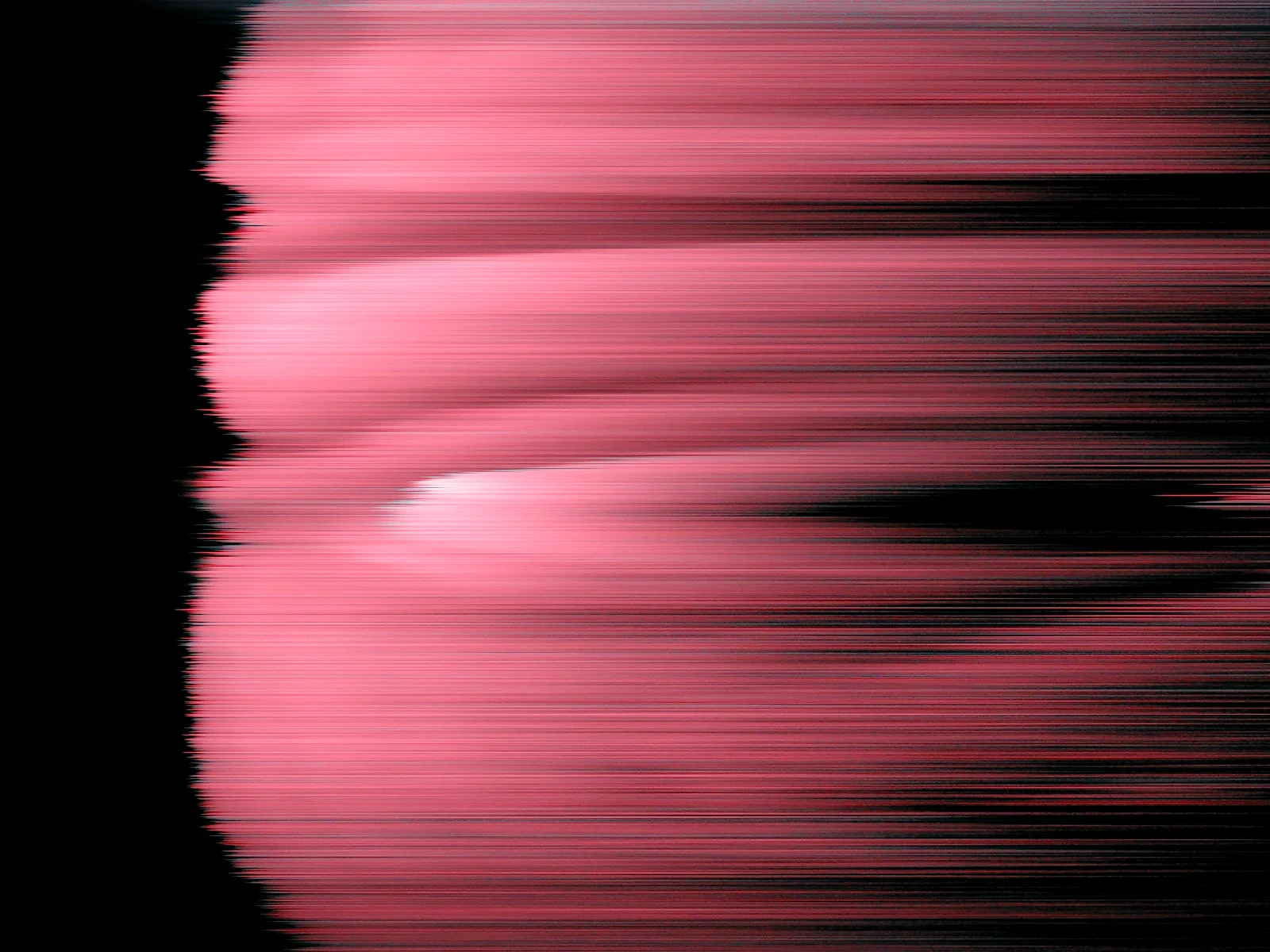 2006, ndd11_unidentified.JPG