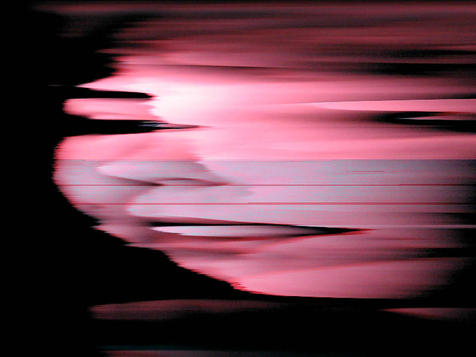 2007, ndd12_michelle1.JPG