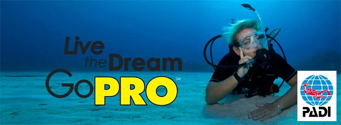 padi-divemaster-course.jpg