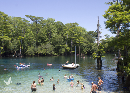 Morrison Spring