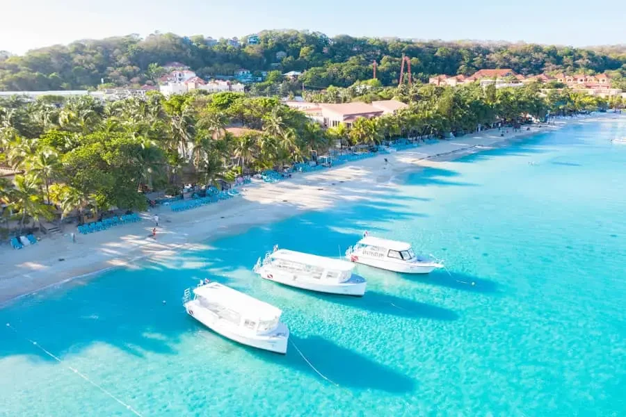 caribbeanviews1_1_4301d599c4.webp