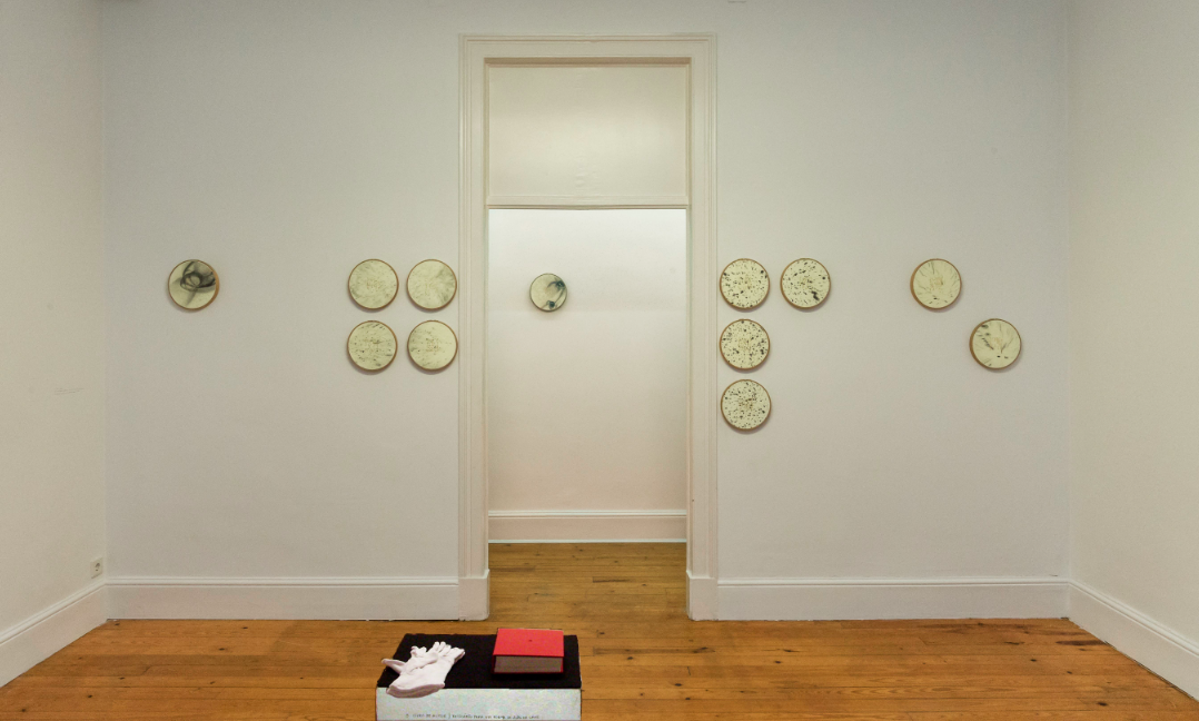 Beings and Bodies from Earth and Heaven Exhibition View 2015