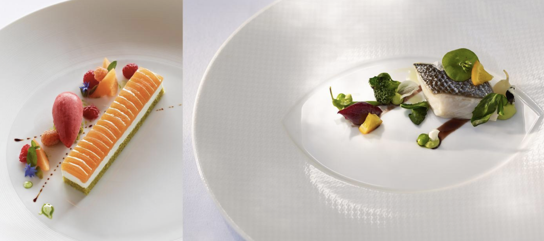 Smart-Alternative-Fuels-The-French-Laundry-Plated-Food-III.png