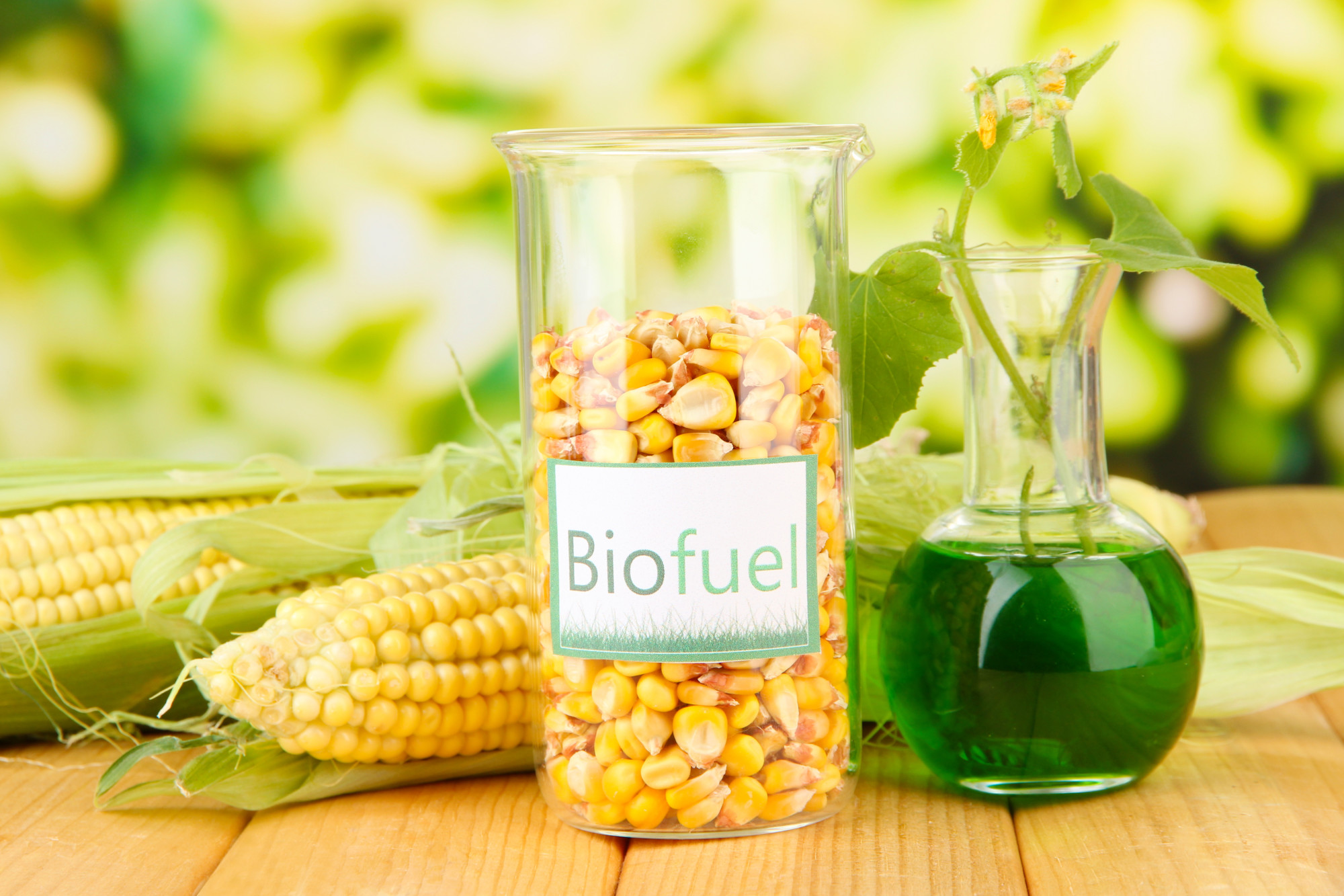 Conceptual photo of bio fuel. On bright background
