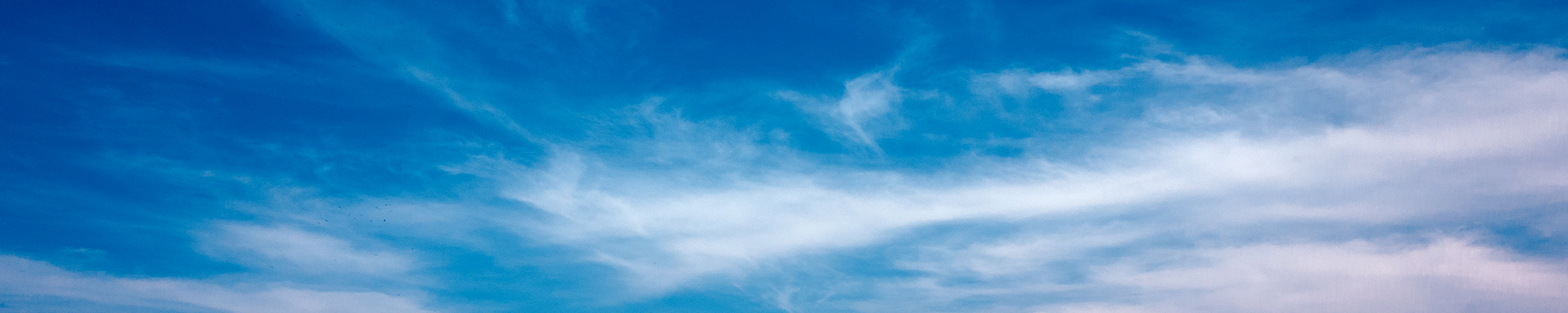 joao-pedro-vergara-401699-unsplash2500x500.jpg