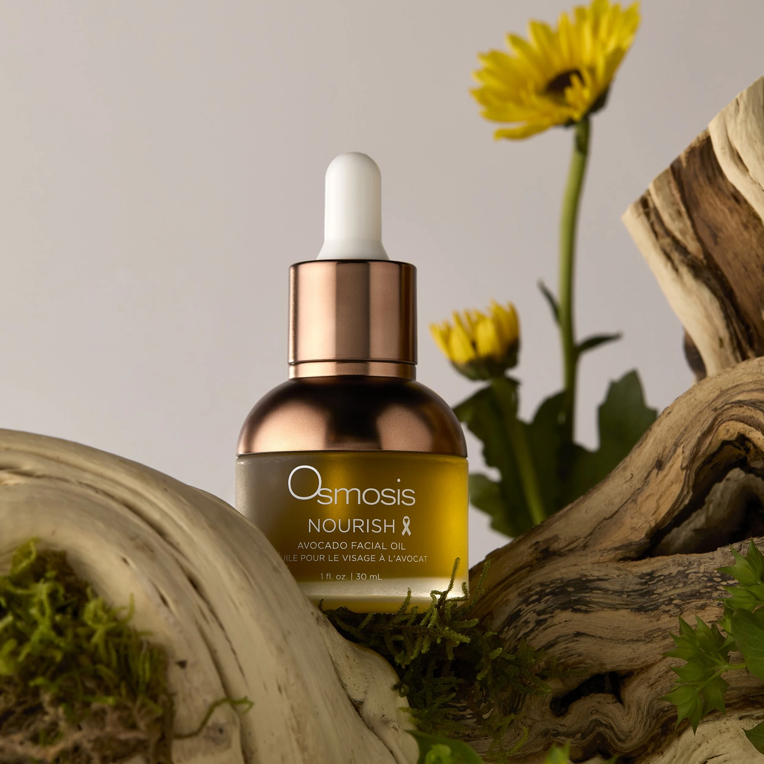 Botanical Promo Nourish.jpg