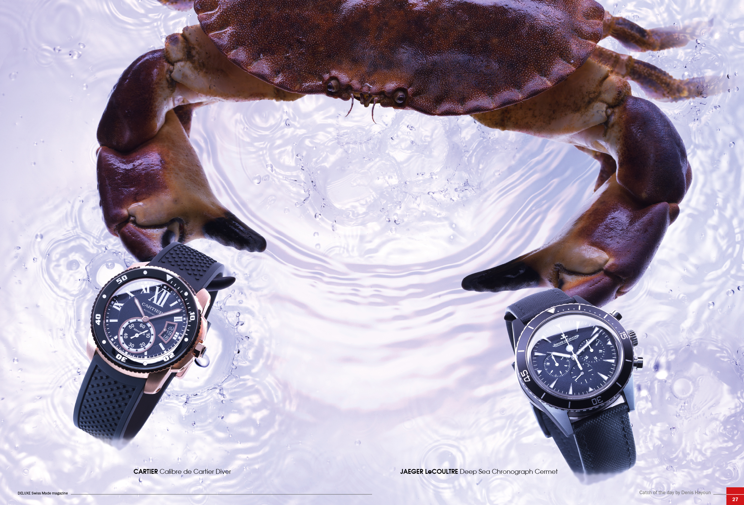 DELUXE SWISS MADE_Spring 201414.jpg