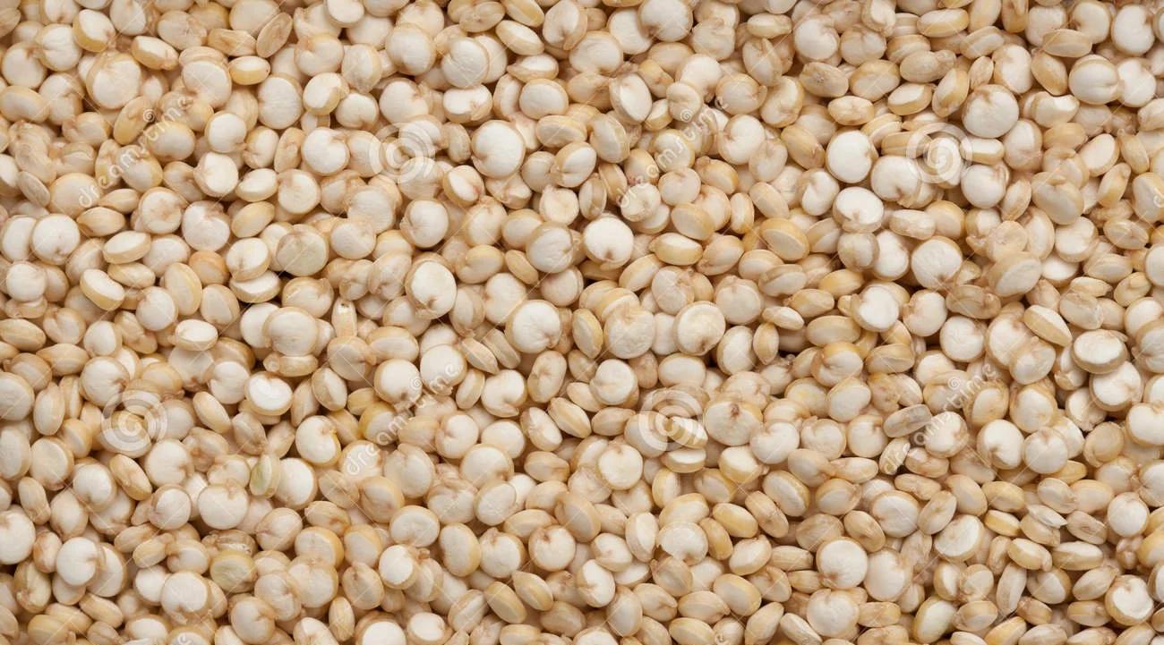 quinoa.jpg