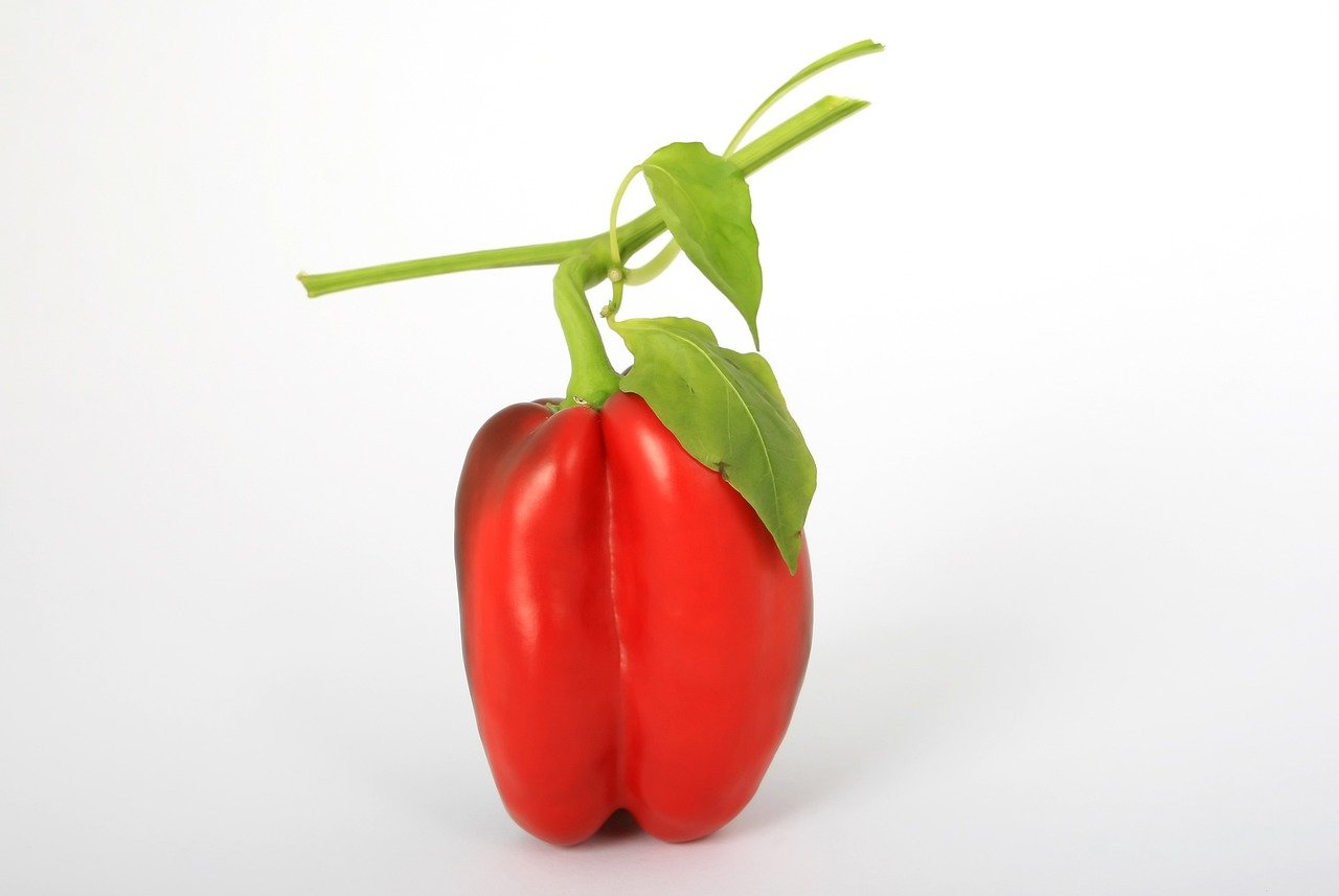 Bell Pepper 1.jpg