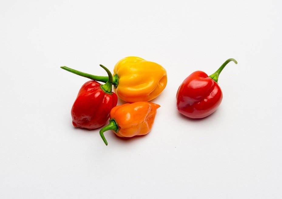 Habanero Pepper 2.jpg