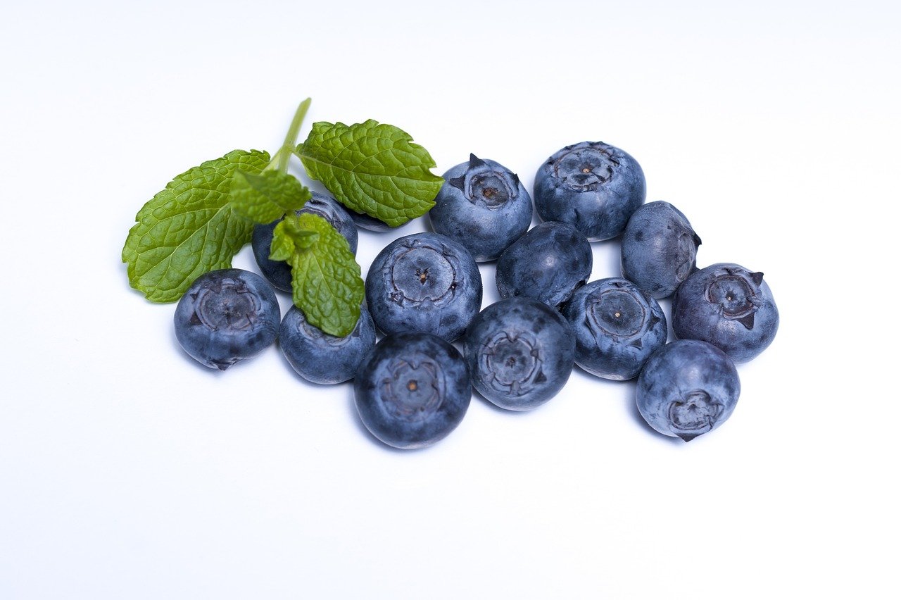 Blueberry 2.jpg