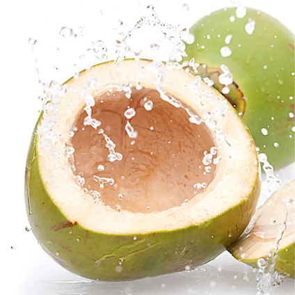 Frozen-aseptic-coconut water