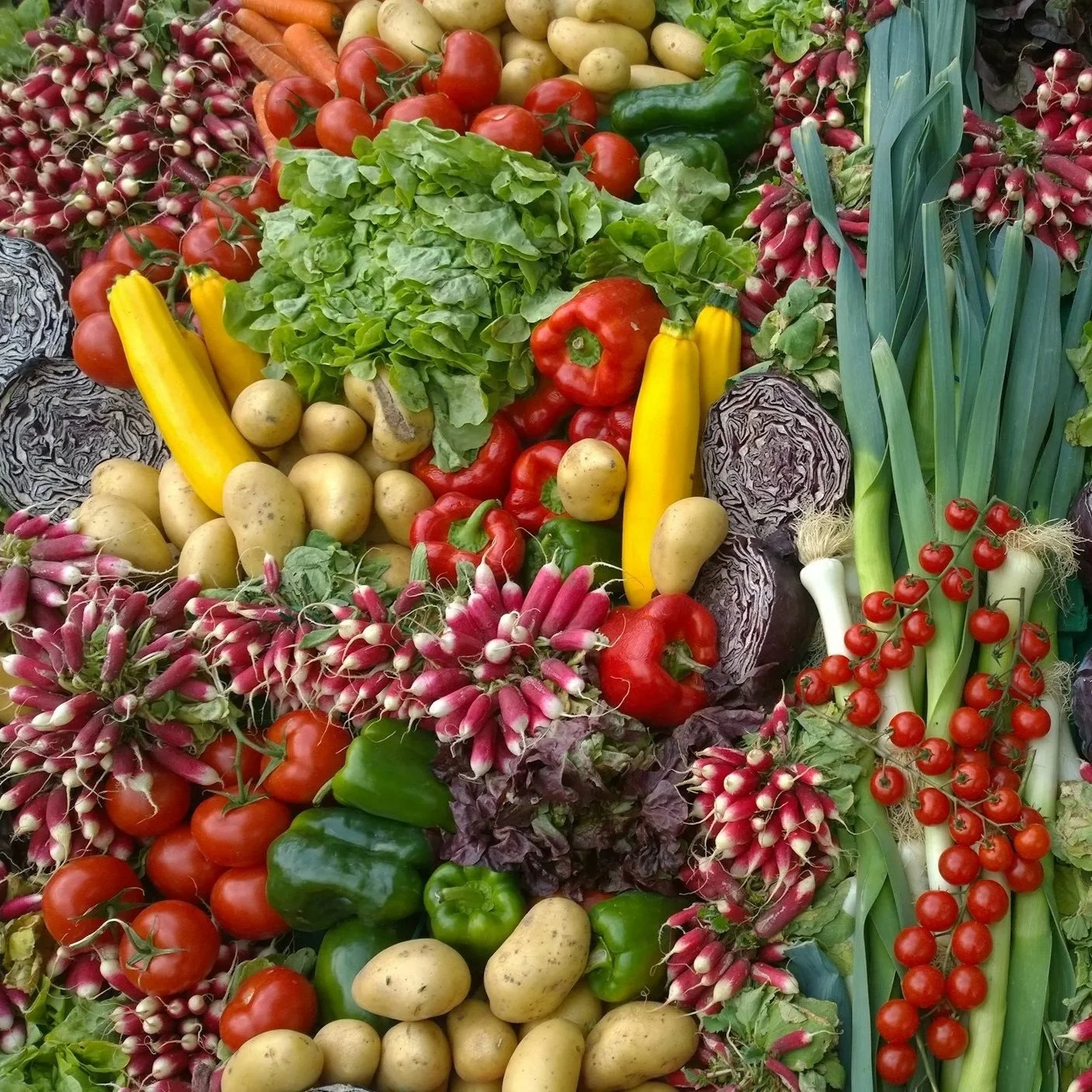 IQF-Frozen-aseptic-Peppers-vegetables