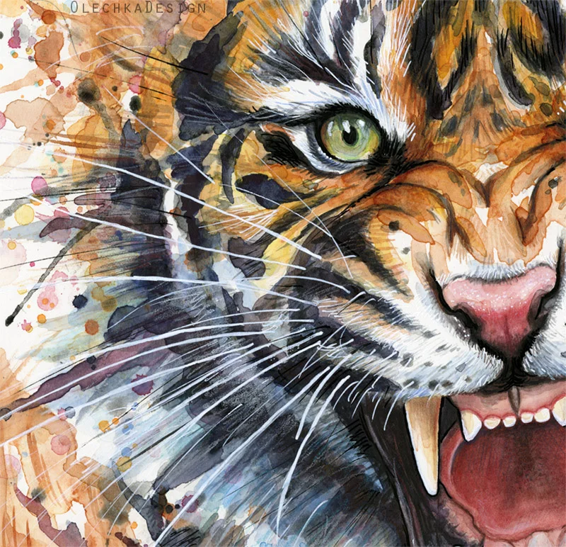 tiger-detail.jpg