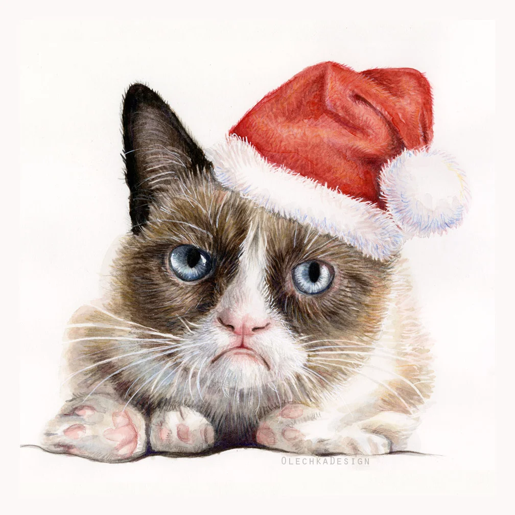 Grumpy Santa Cat