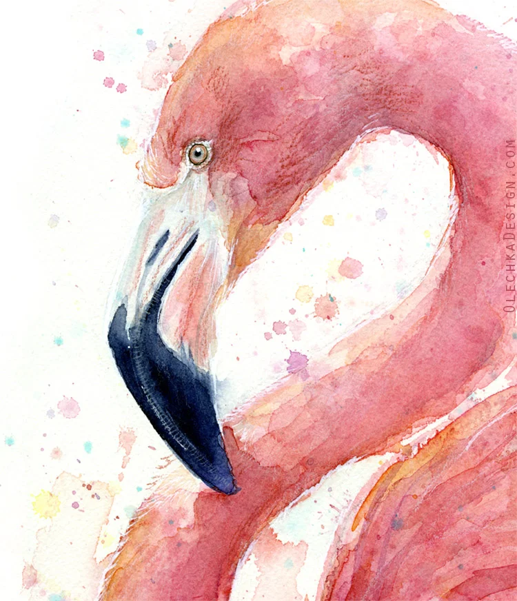 pink-flamingo-detail-watercolor.jpg