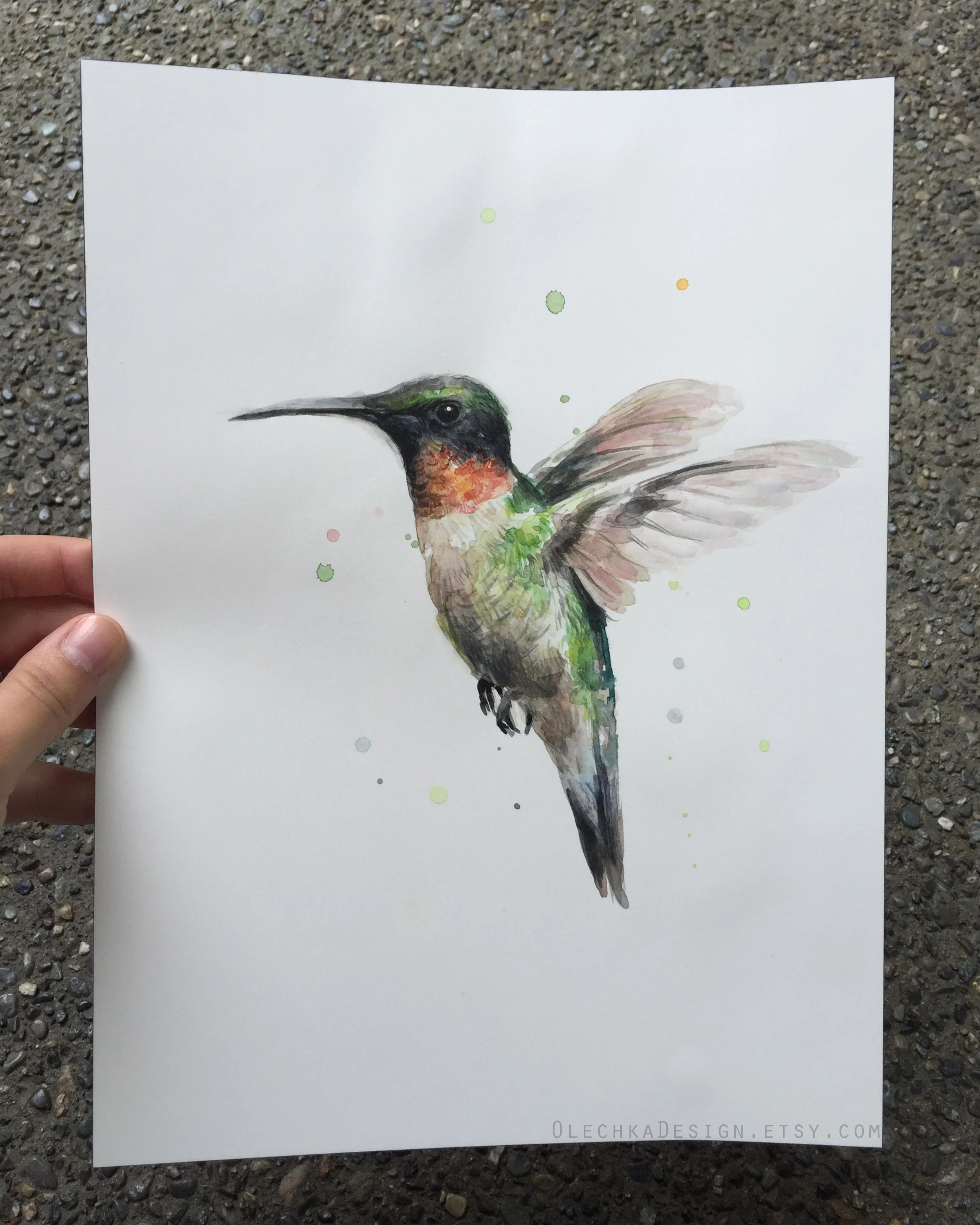 hummingbird-watercolor-painting.jpg